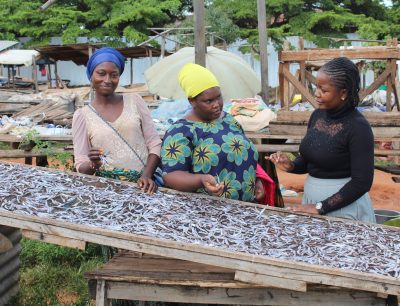 Beyond Survival: What Women Entrepreneurs in Kigoma Really Need to Grow